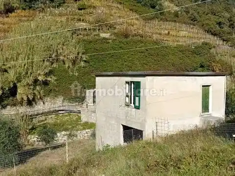 Rustico - Casale in vendita a Vernazza
