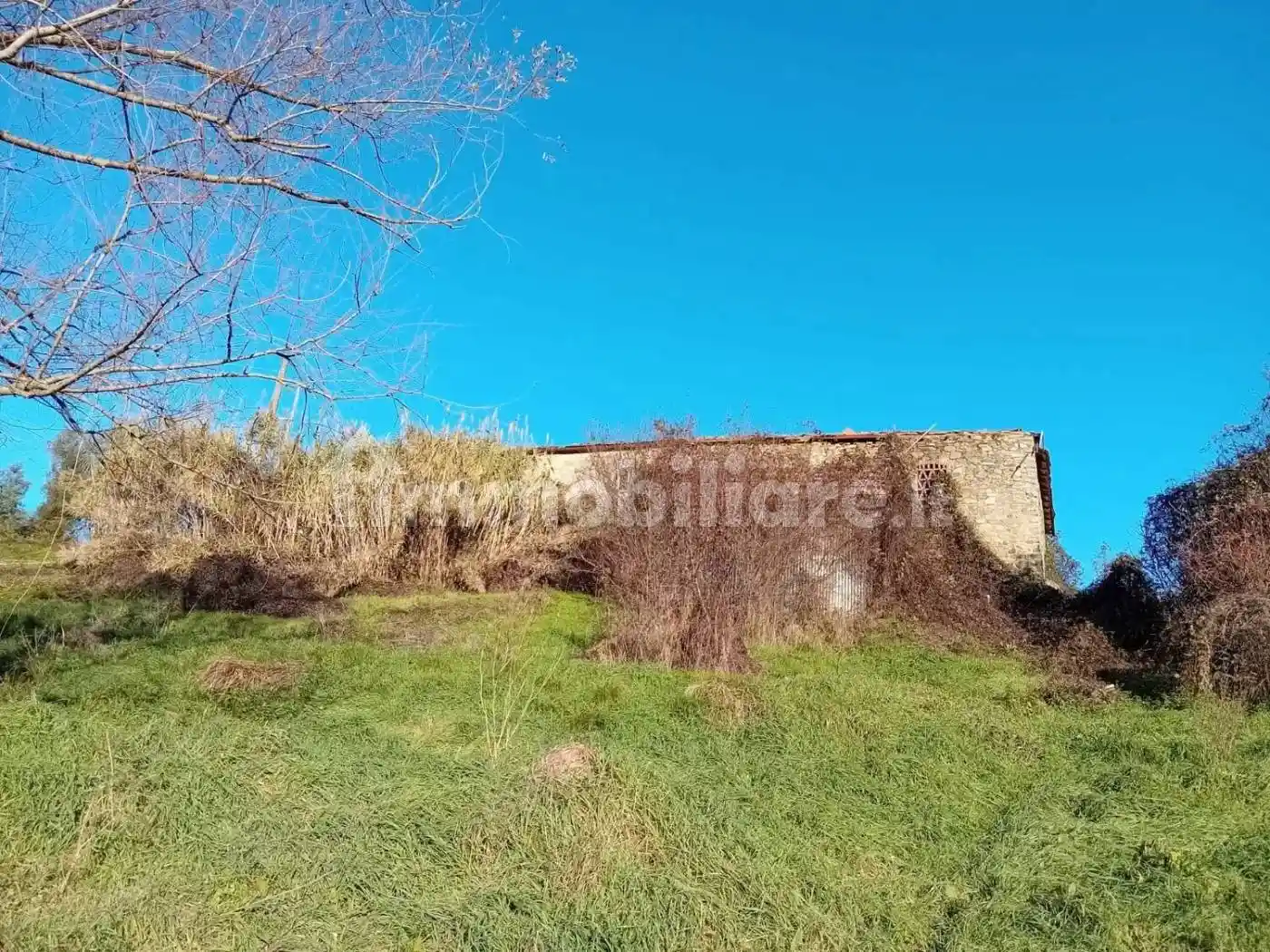 Rustico - Casale in vendita a Filattiera