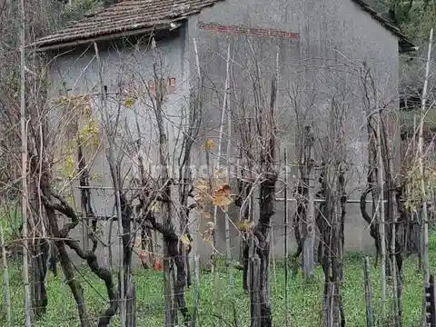 Rustico - Casale in vendita a Tresana