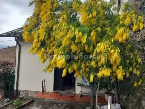 Villa in vendita a Aulla