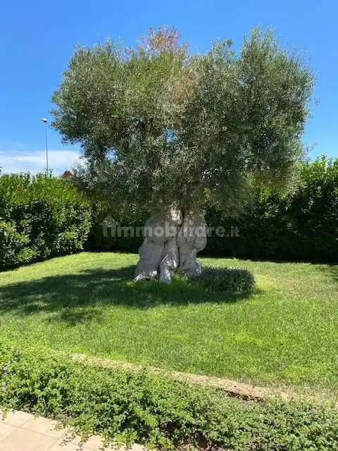 Villa in vendita a Polignano a Mare
