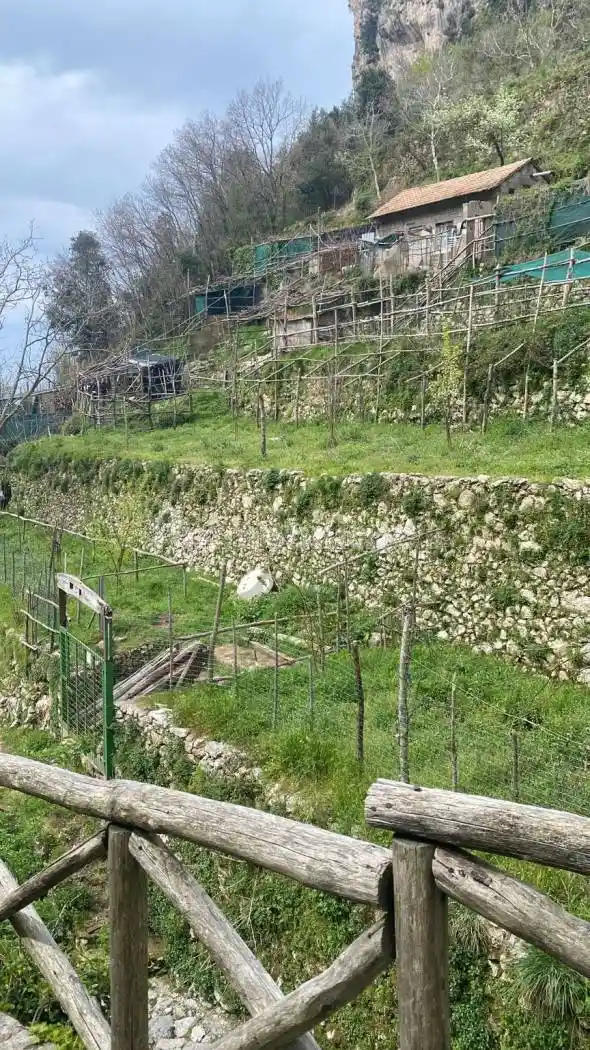 Rustico - Casale in vendita a Agerola
