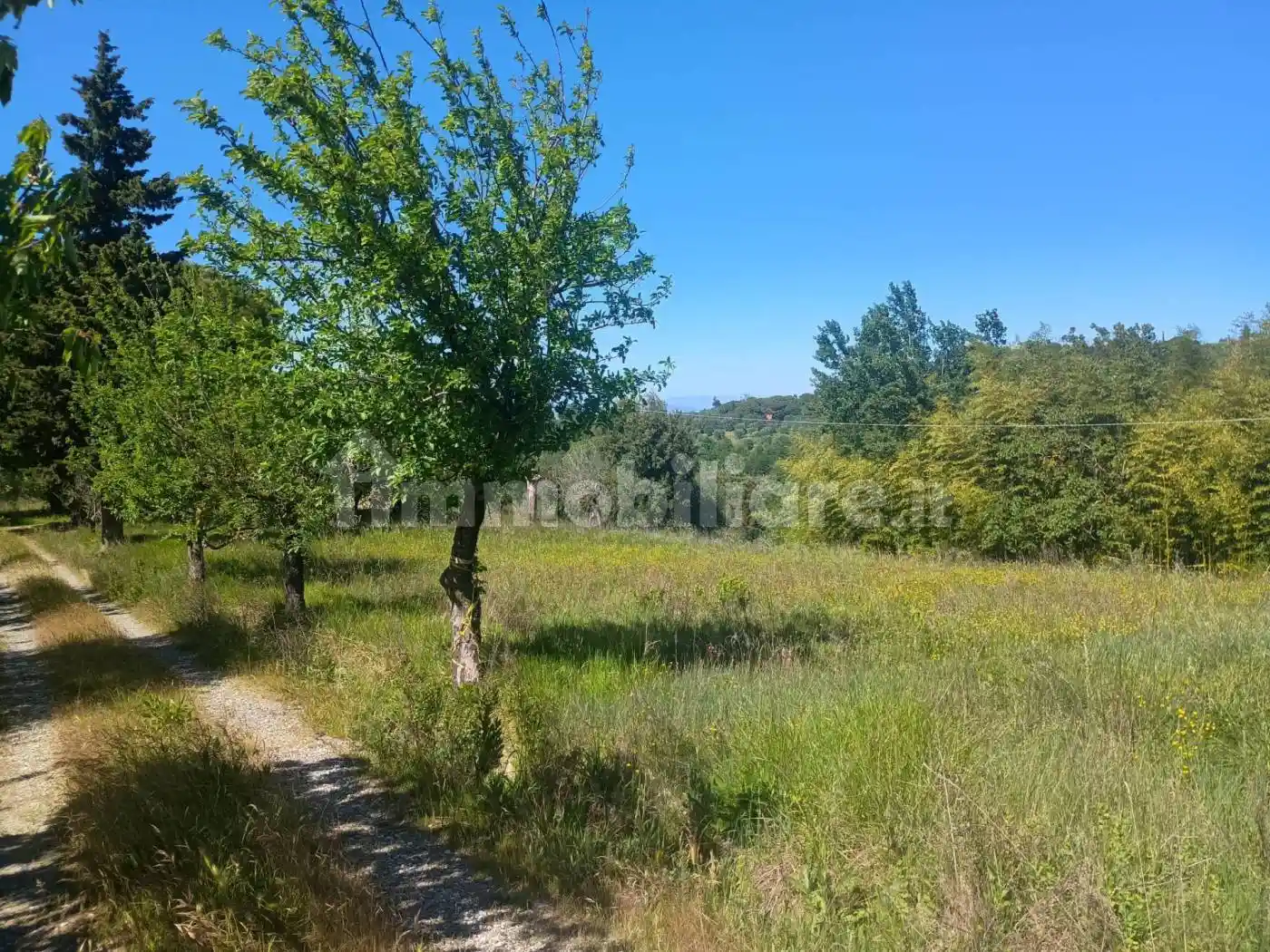 Casa indipendente in vendita a Palaia