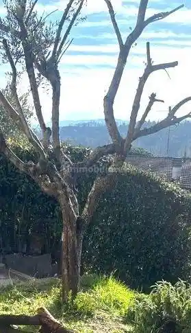 Appartamento in vendita a Carmignano