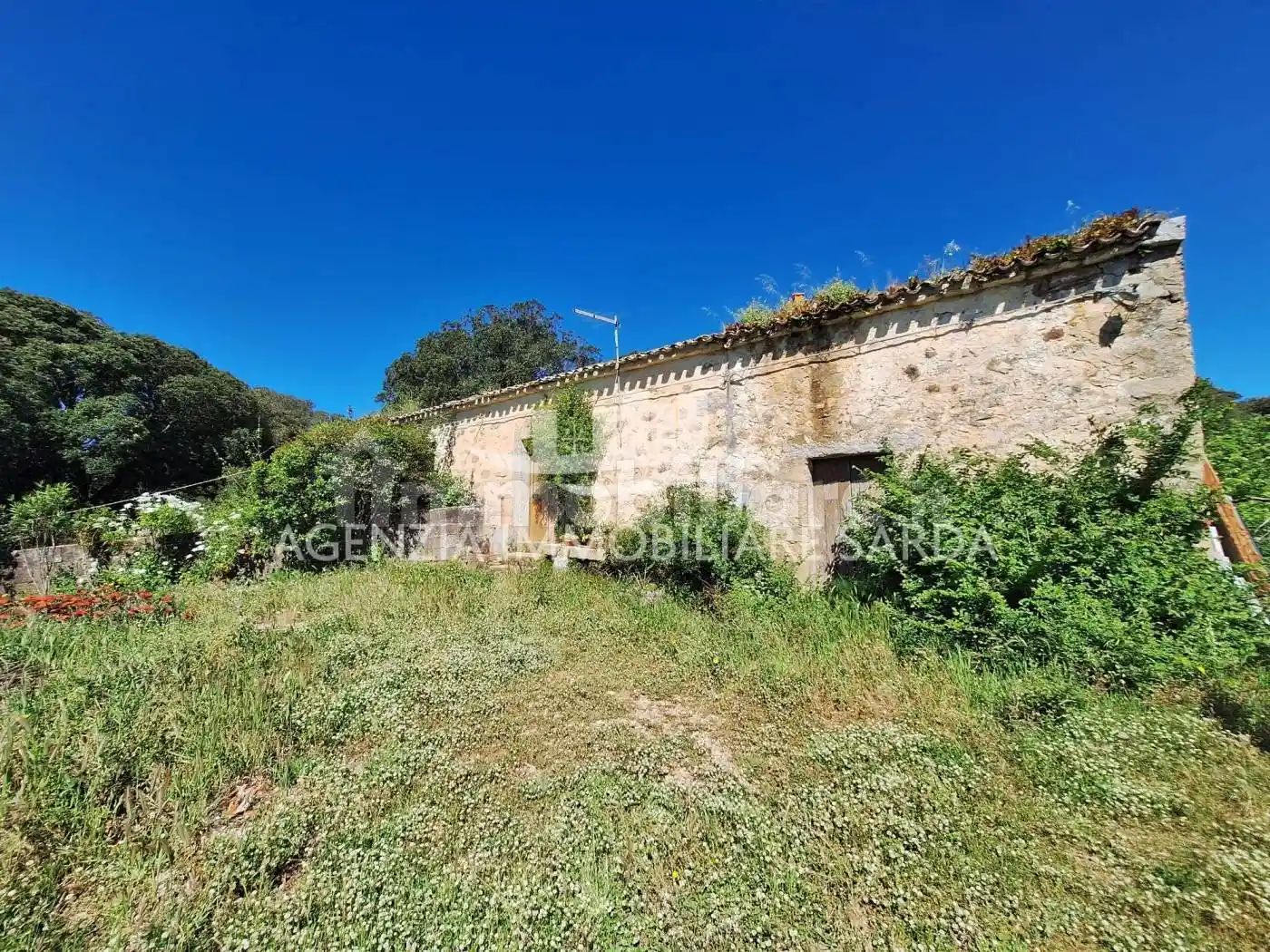Villetta a schiera in vendita a Aglientu