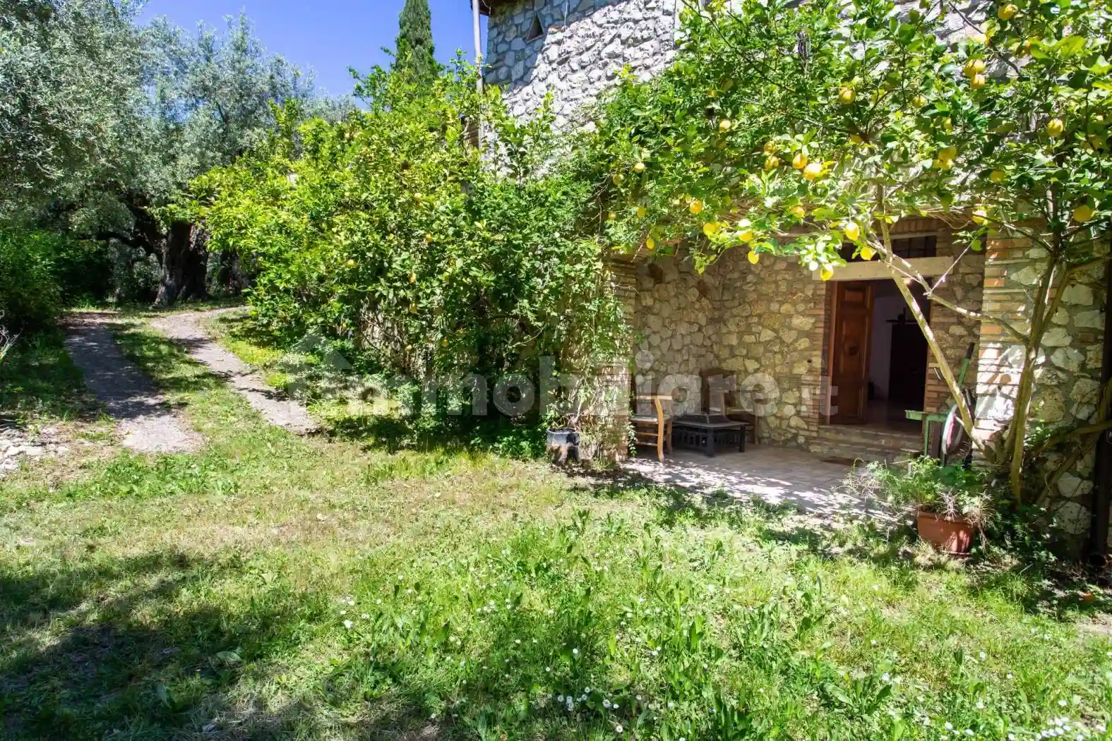 Rustico - Casale - foto 5
