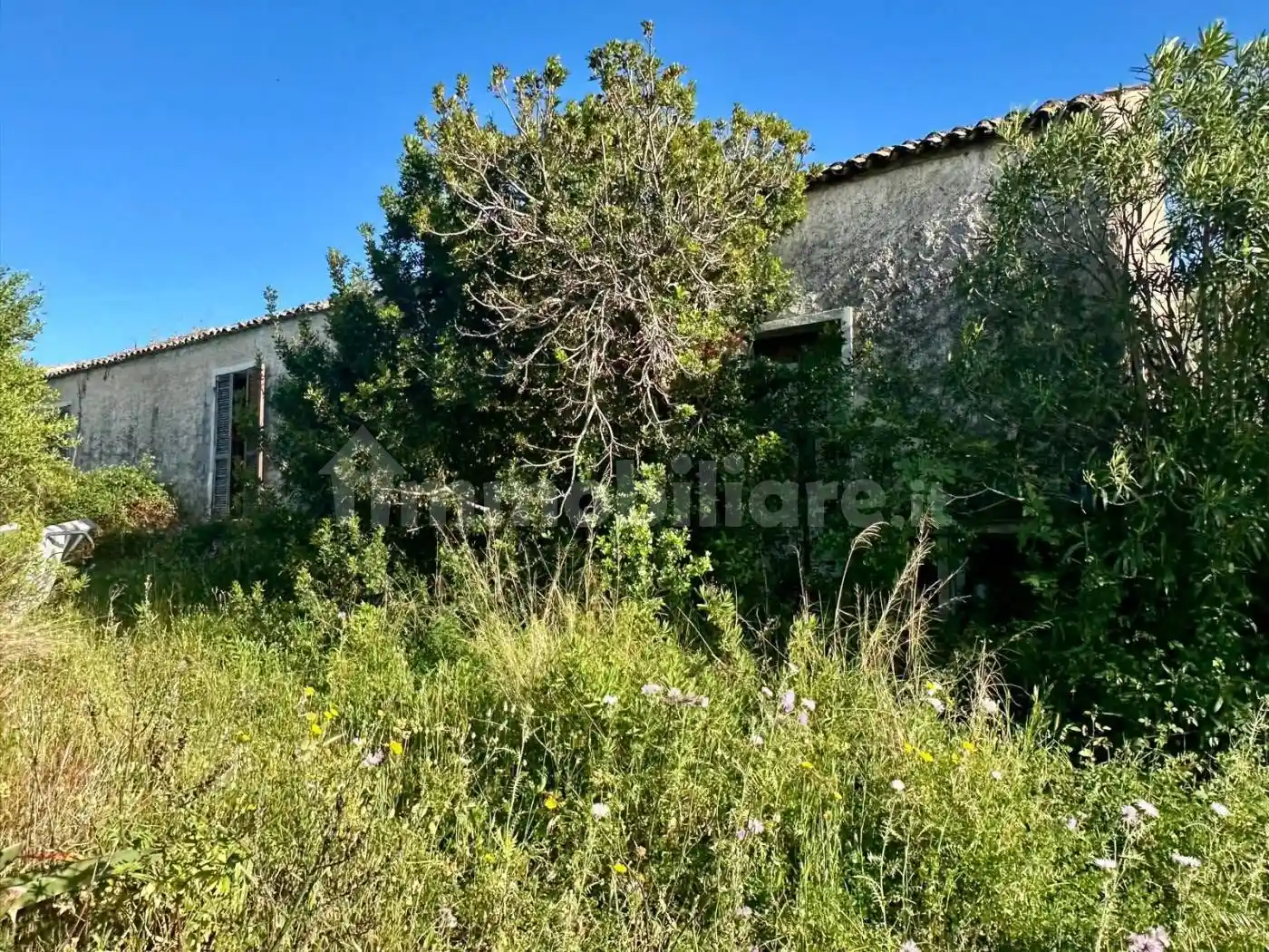 Rustico - Casale in vendita a Aglientu