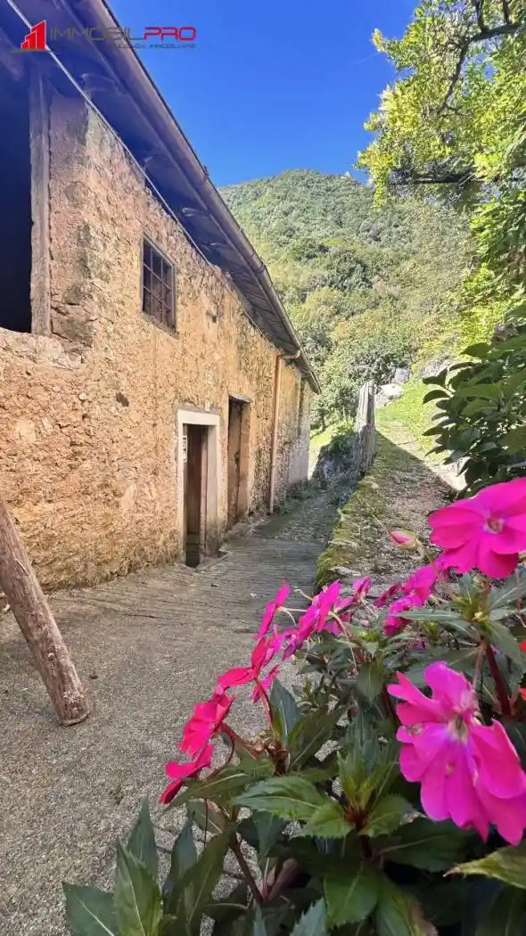 Rustico - Casale in vendita a Arsiero