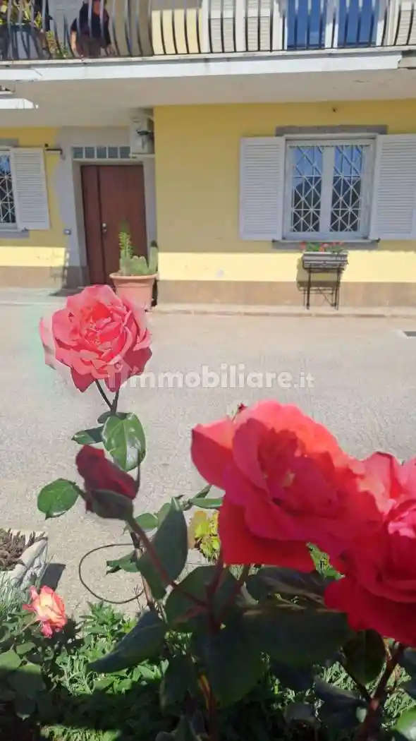 Appartamento in affitto a San Cesareo