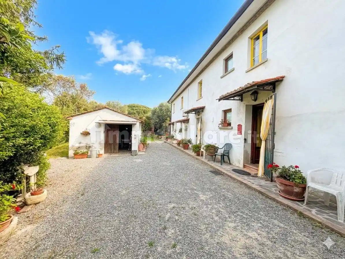 Rustico - Casale in vendita a Palaia