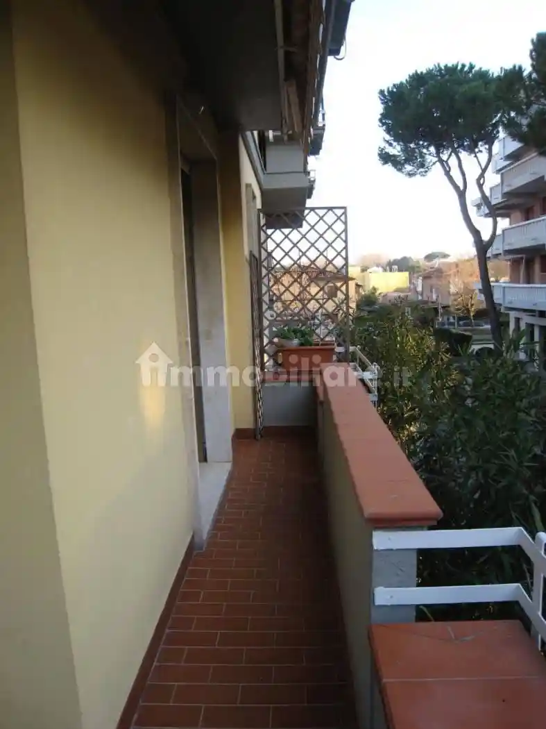 Appartamento in affitto a Massa