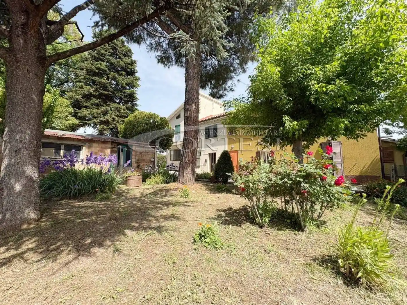 Casa indipendente in vendita a Mondavio