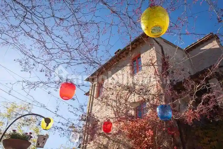 Rustico - Casale - foto 4