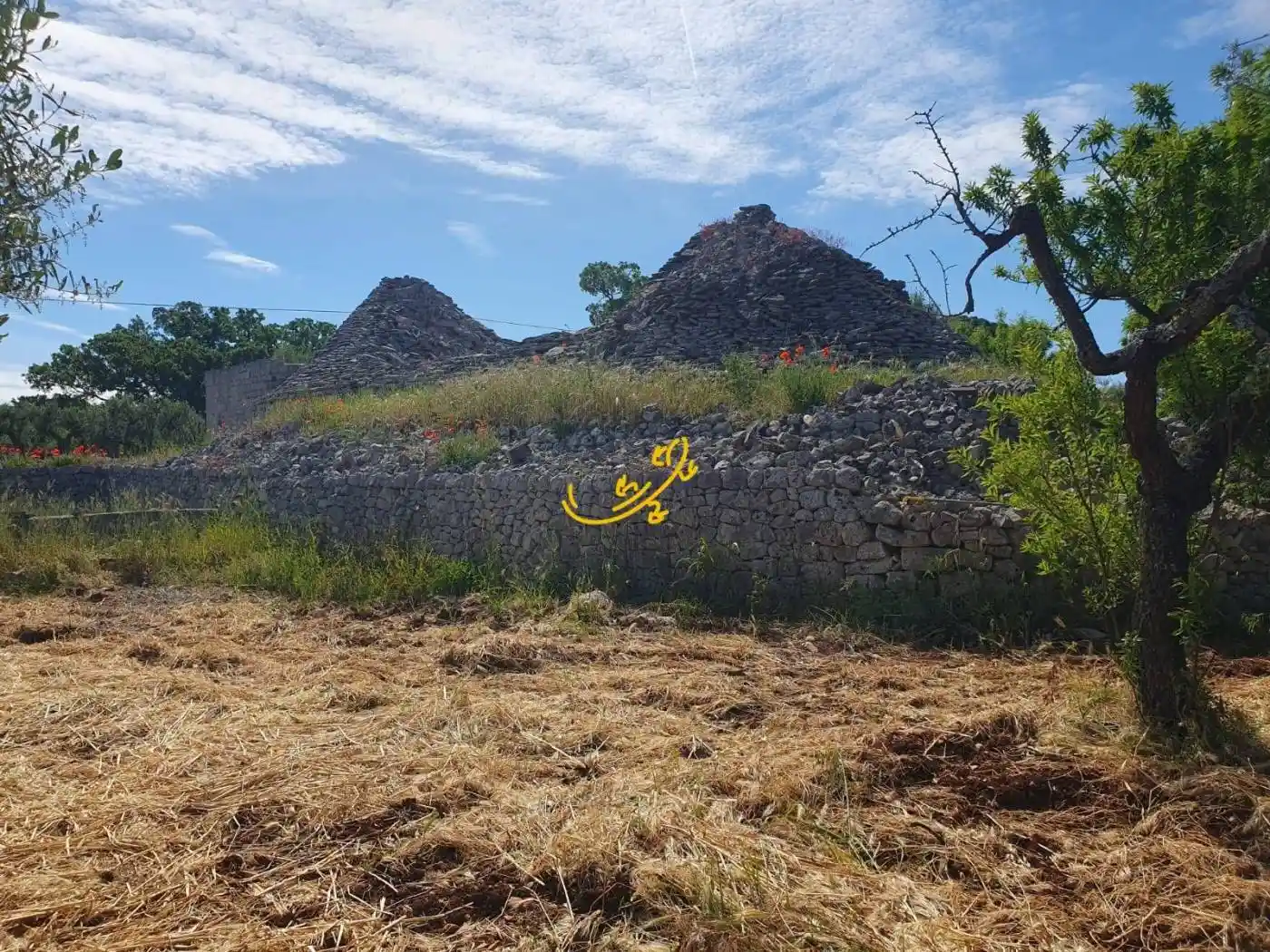 Rustico - Casale in vendita a Monopoli
