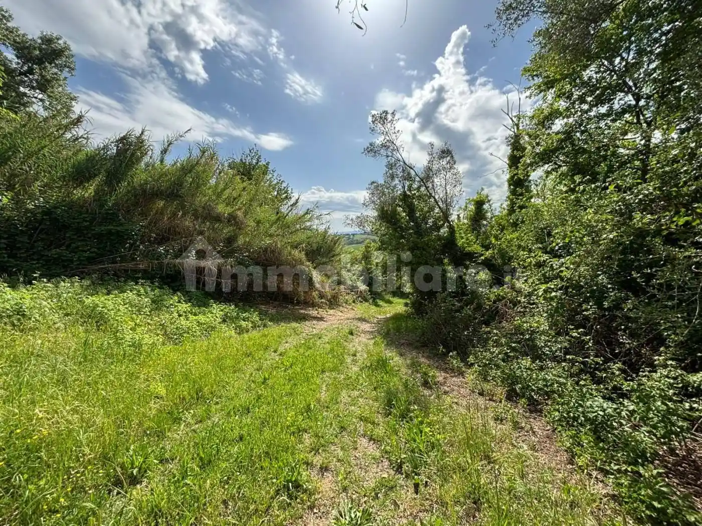 Rustico - Casale in vendita a Narni