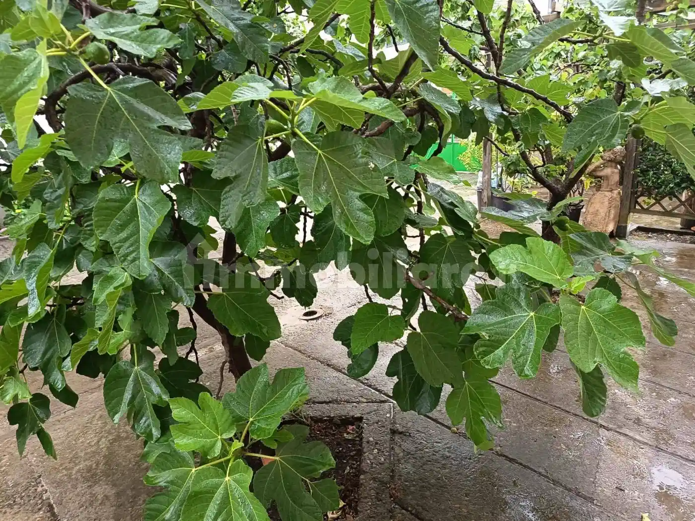 Appartamento in vendita a Prato