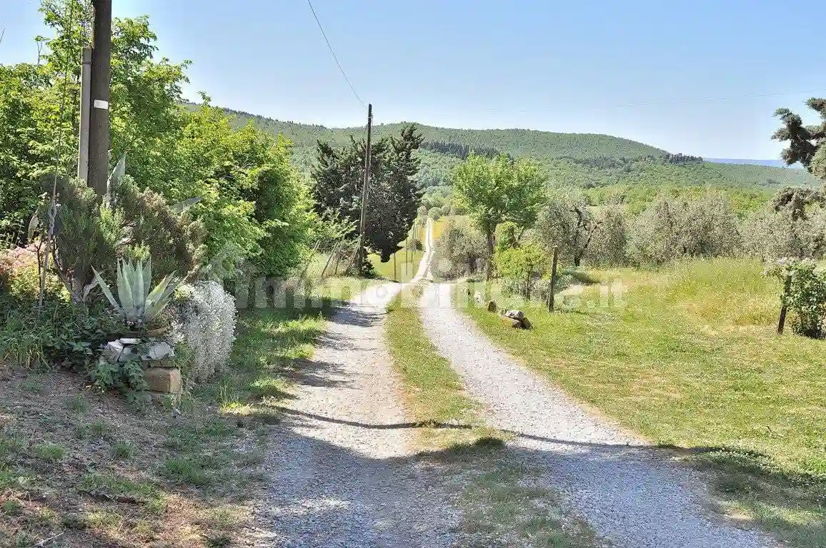 Rustico - Casale - foto 5