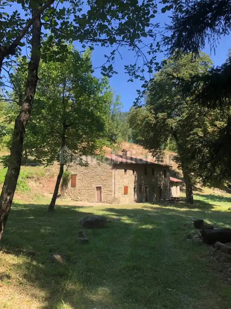 Rustico - Casale in vendita a Pratovecchio e Stia
