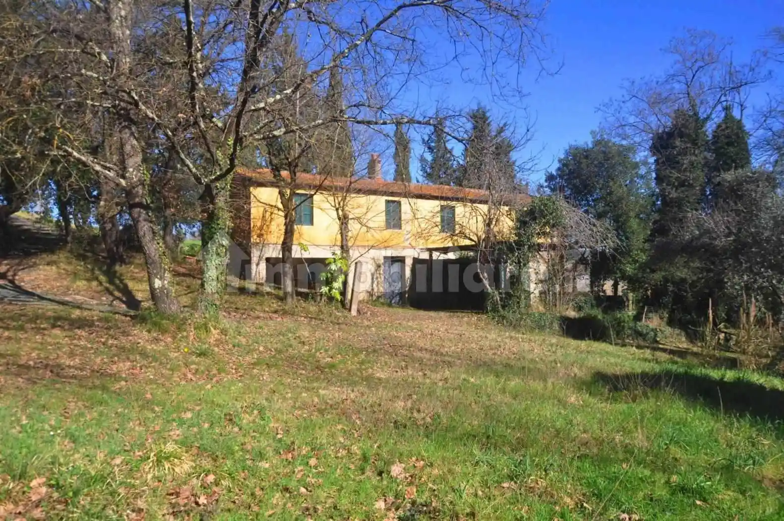 Rustico - Casale in vendita a Montescudaio