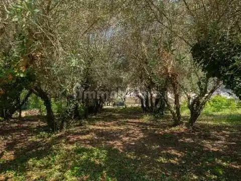 Villa in vendita a Monte Porzio
