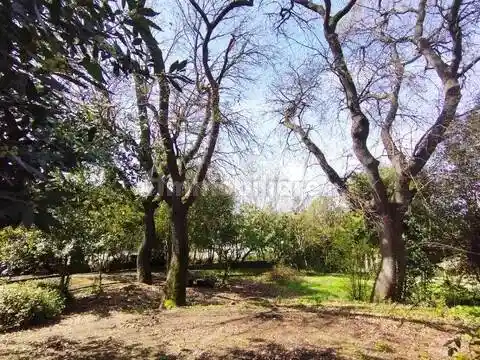 Rustico - Casale in vendita a Senigallia