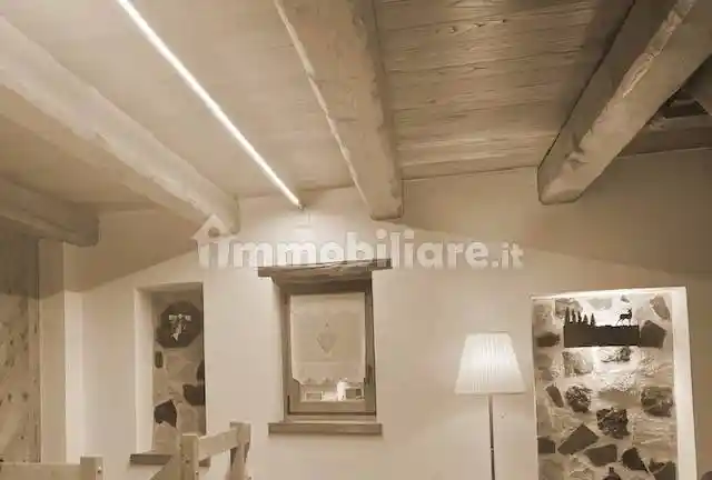 Casa indipendente in affitto a Limone Piemonte