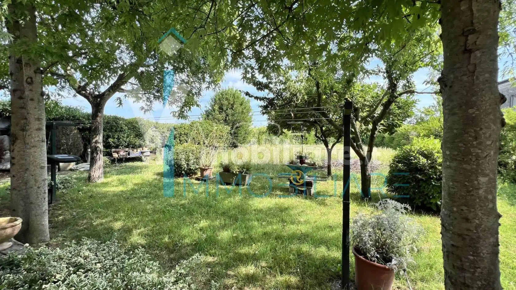 Rustico - Casale in vendita a Minerbe