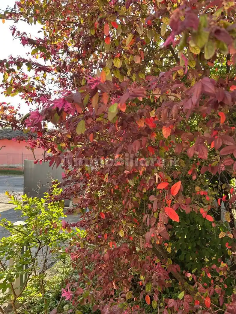 Villetta a schiera in vendita a Portogruaro