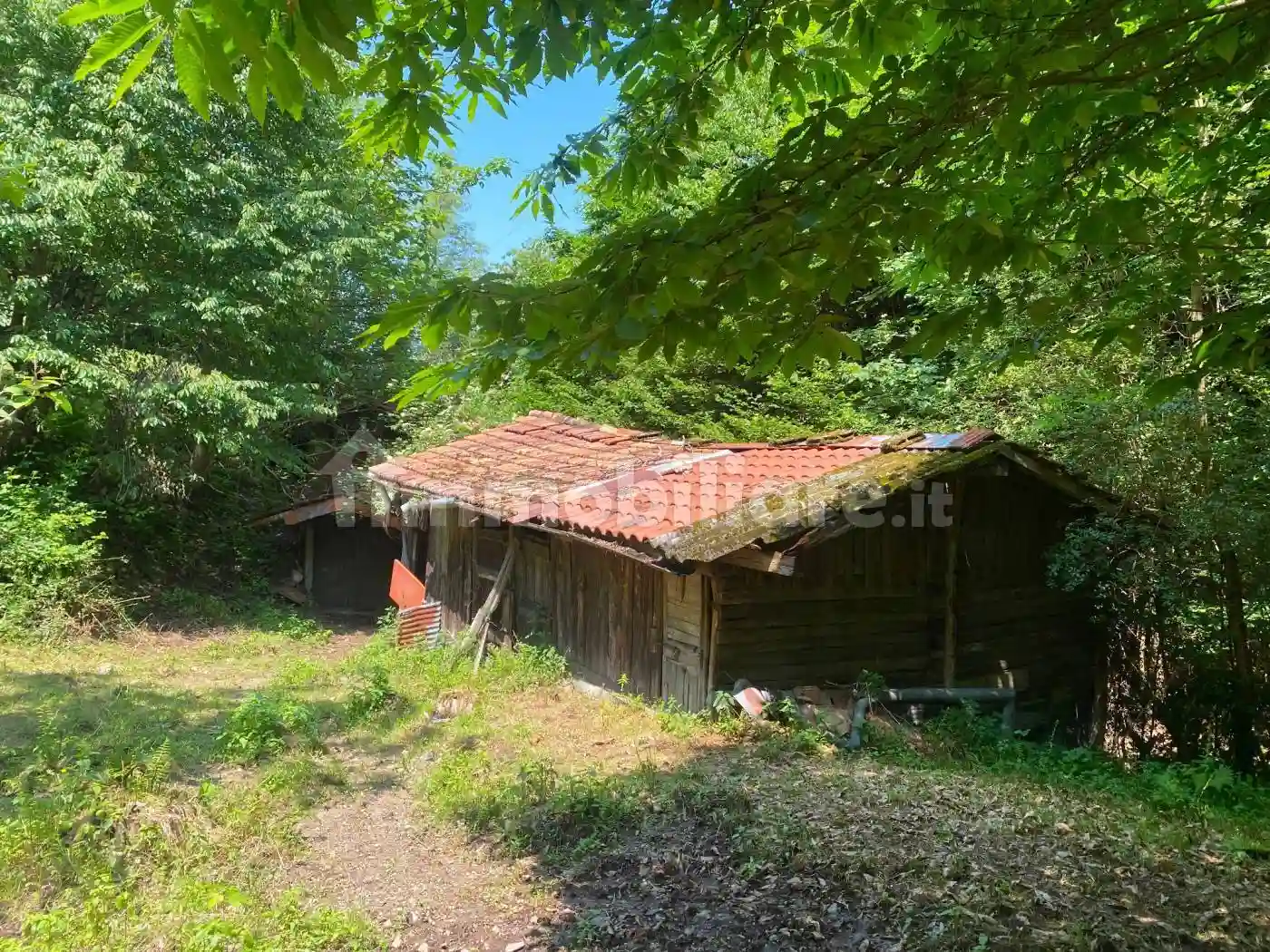 Rustico - Casale - foto 4