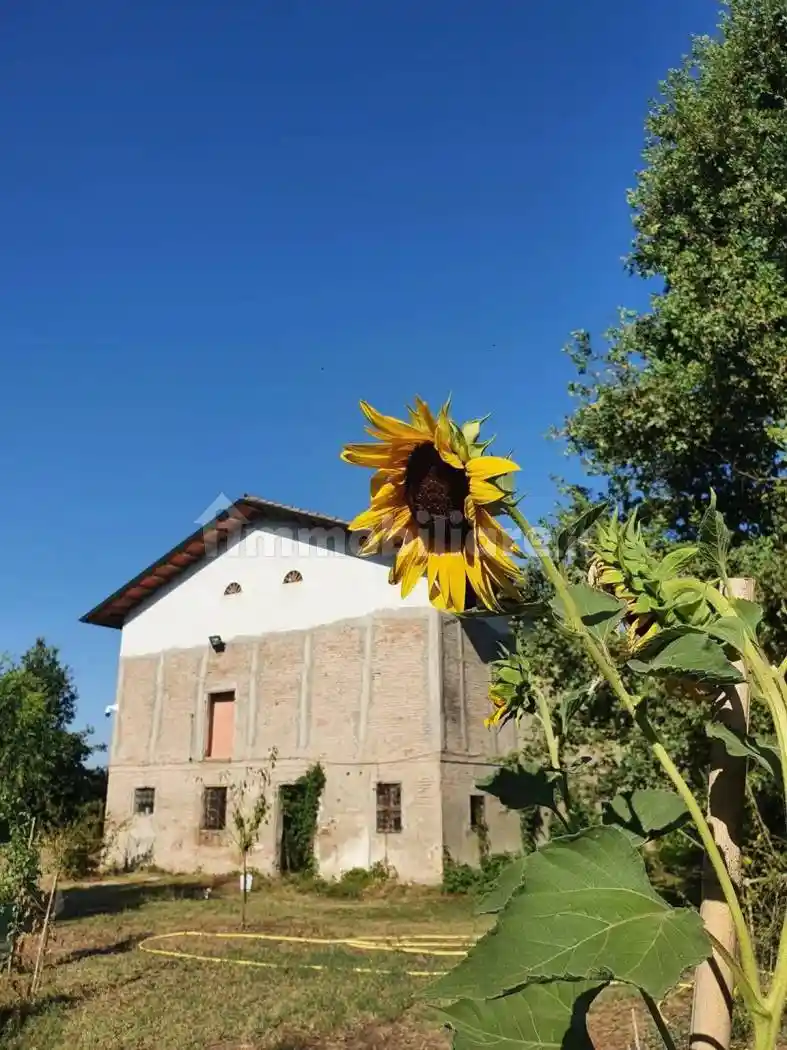 Rustico - Casale in vendita a Correggio