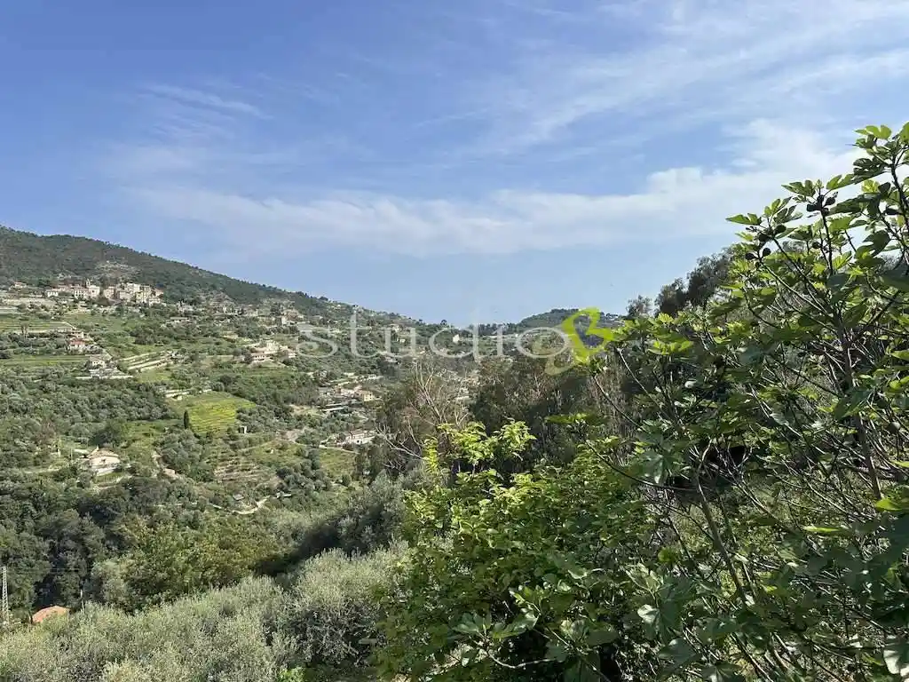 Villa in vendita a Vallebona