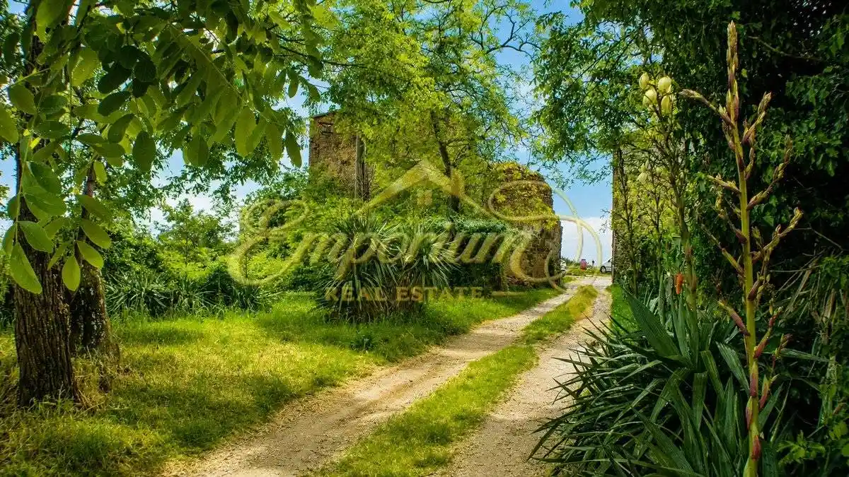 Rustico - Casale in vendita a Capraia e Limite