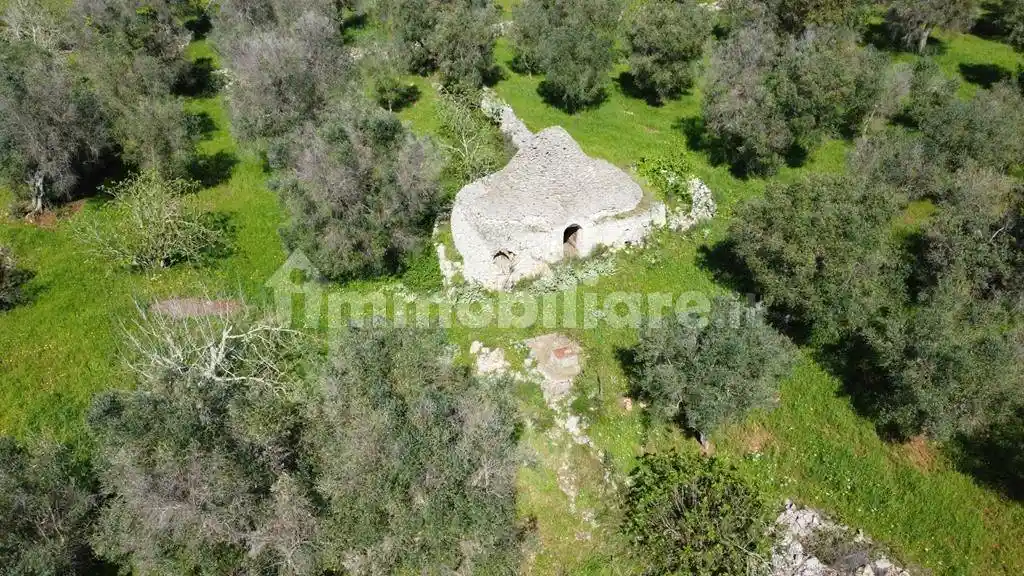 Rustico - Casale in vendita a Ceglie Messapica