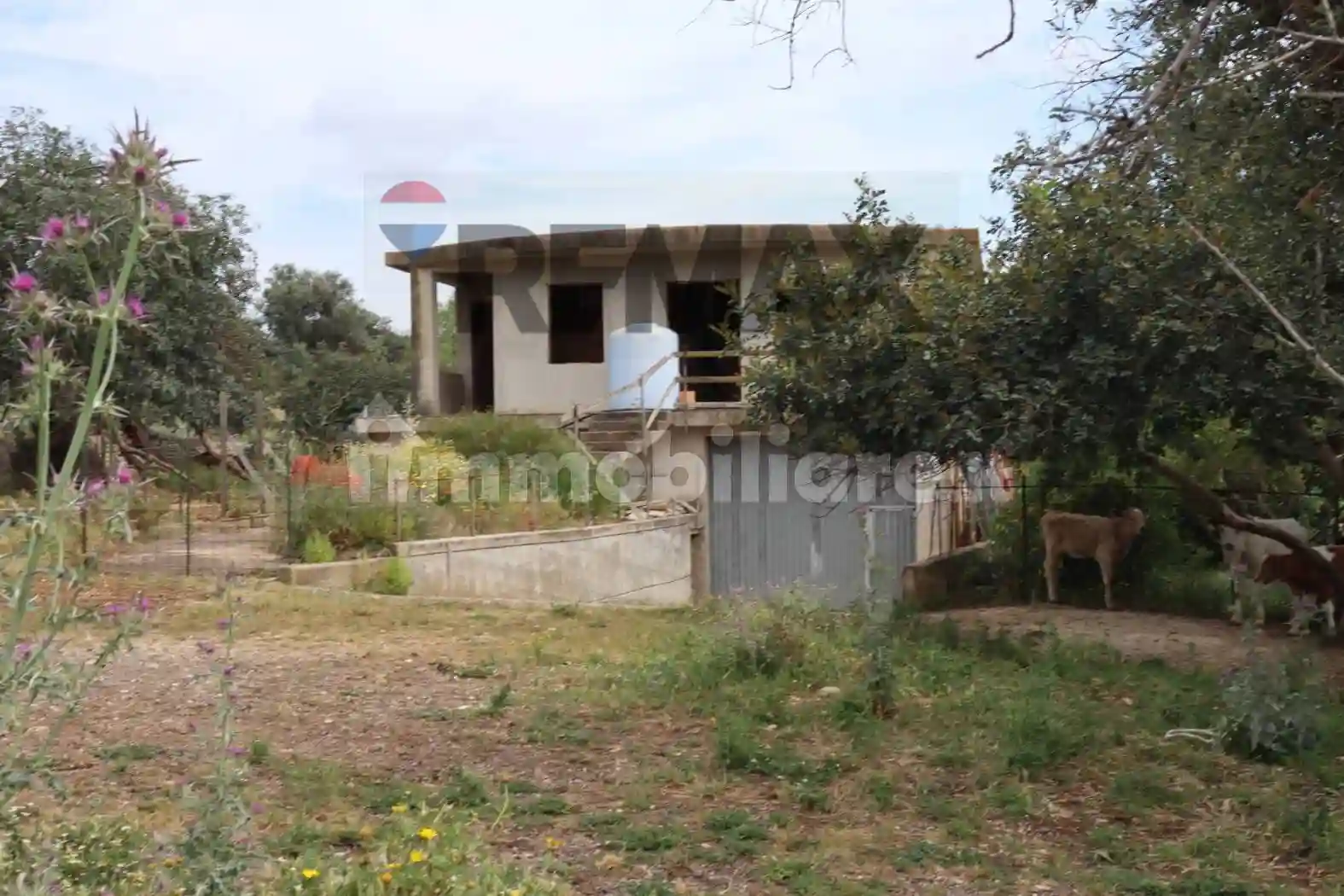Rustico - Casale - foto 4