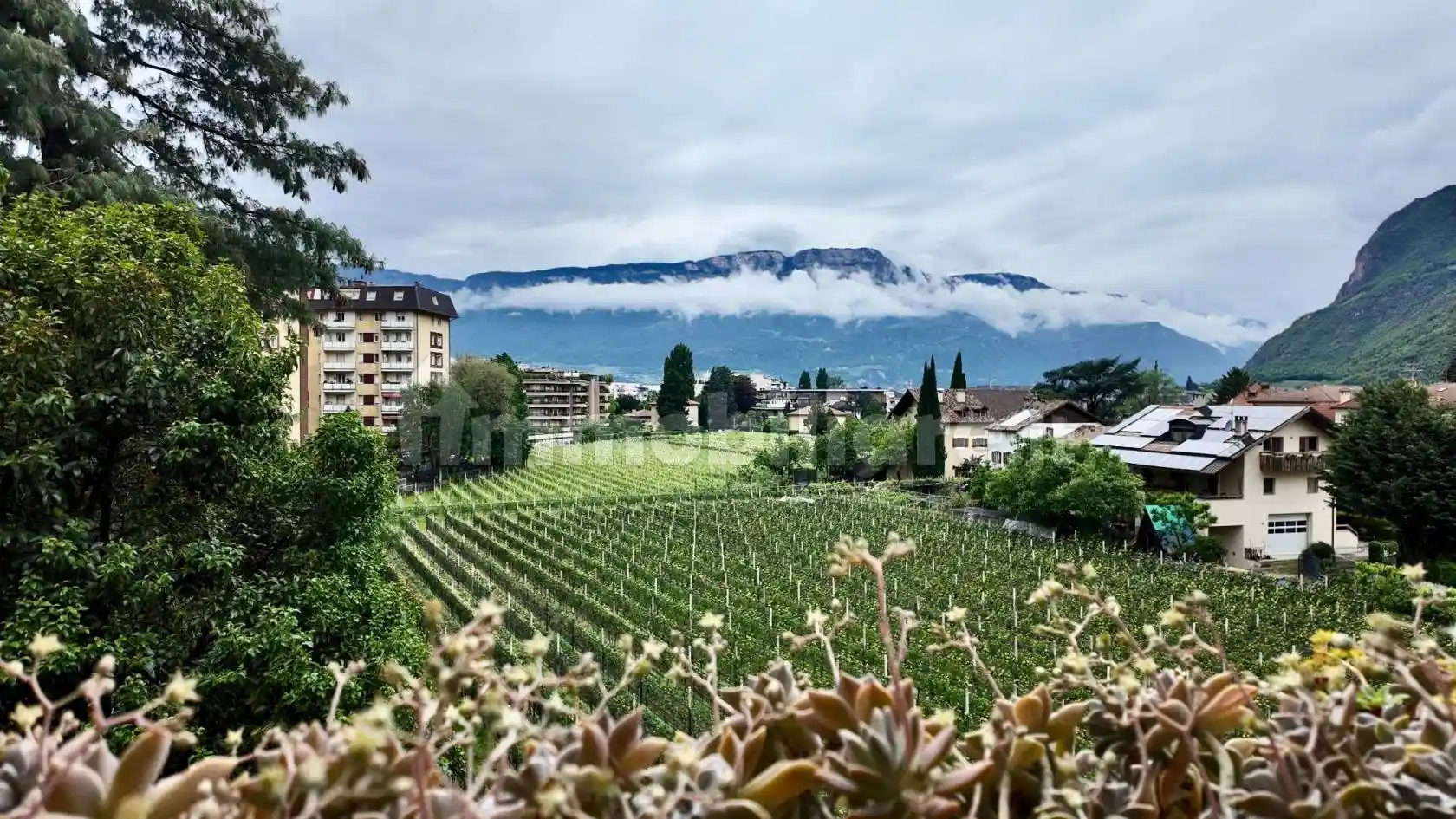 Appartamento in vendita a Bolzano