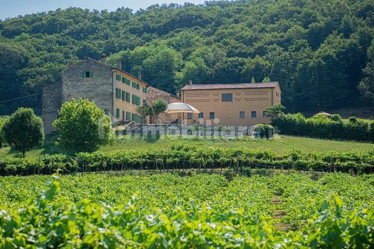 Palazzo - Edificio in vendita a Illasi