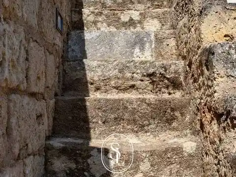 Rustico - Casale in vendita a Nardò