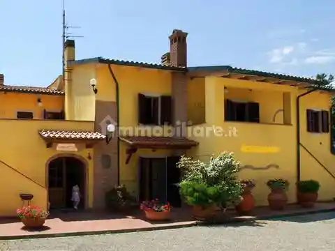 Rustico - Casale in vendita a Palaia