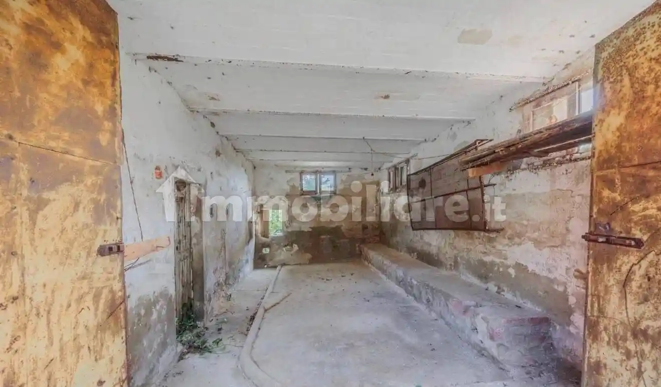 Rustico - Casale in vendita a Palaia