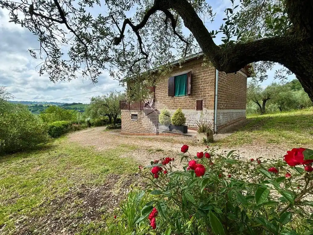 Rustico - Casale in vendita a Otricoli
