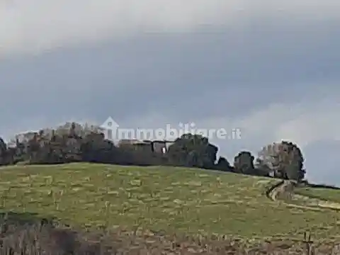 Rustico - Casale in vendita a Chianni