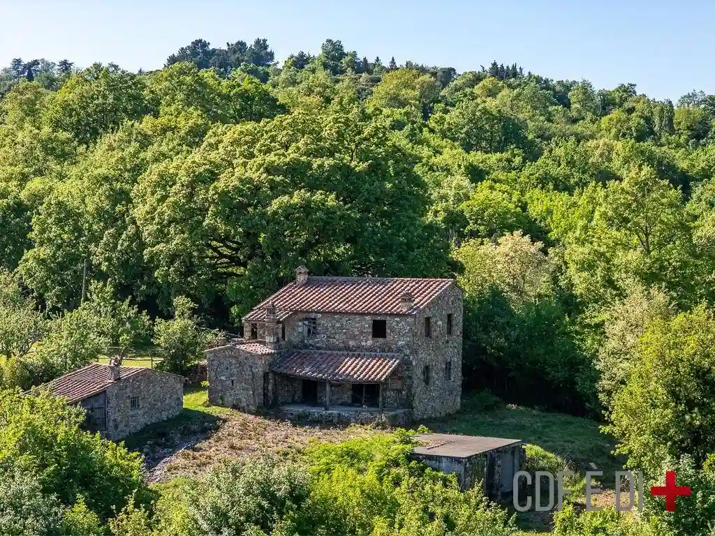 Rustico - Casale - foto 2