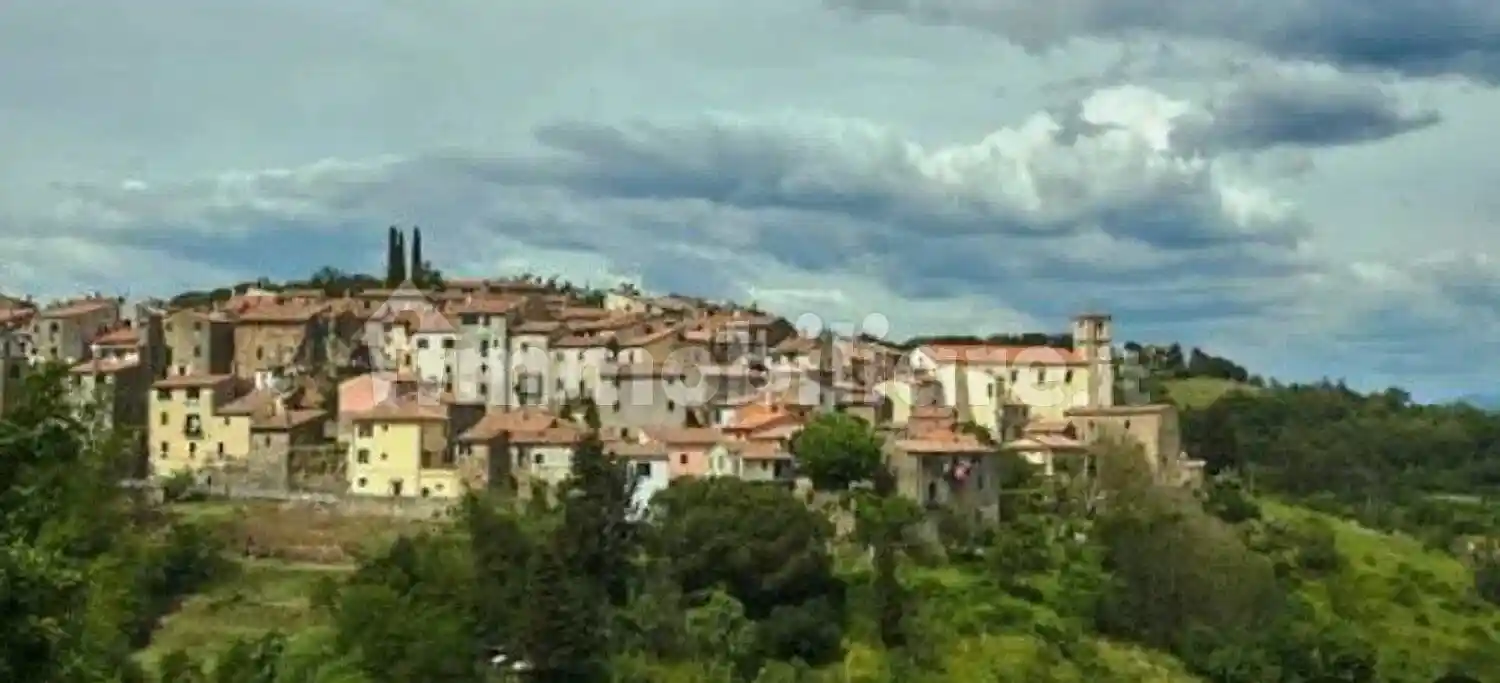 Appartamento in vendita a Scansano