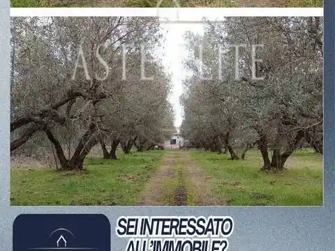 Appartamento in vendita a Viterbo