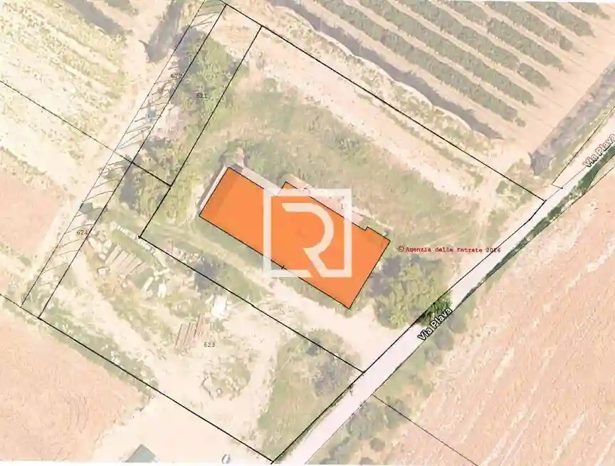 Rustico - Casale - foto 5