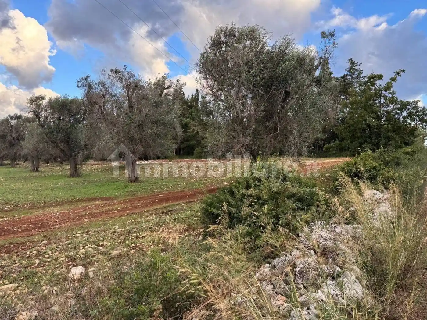 Villa in vendita a Carovigno