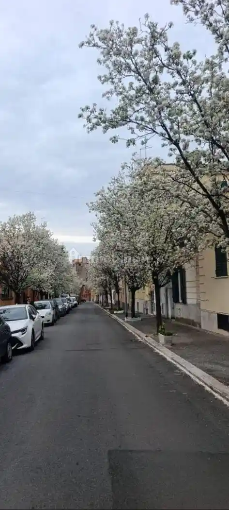 Villa in affitto a Roma