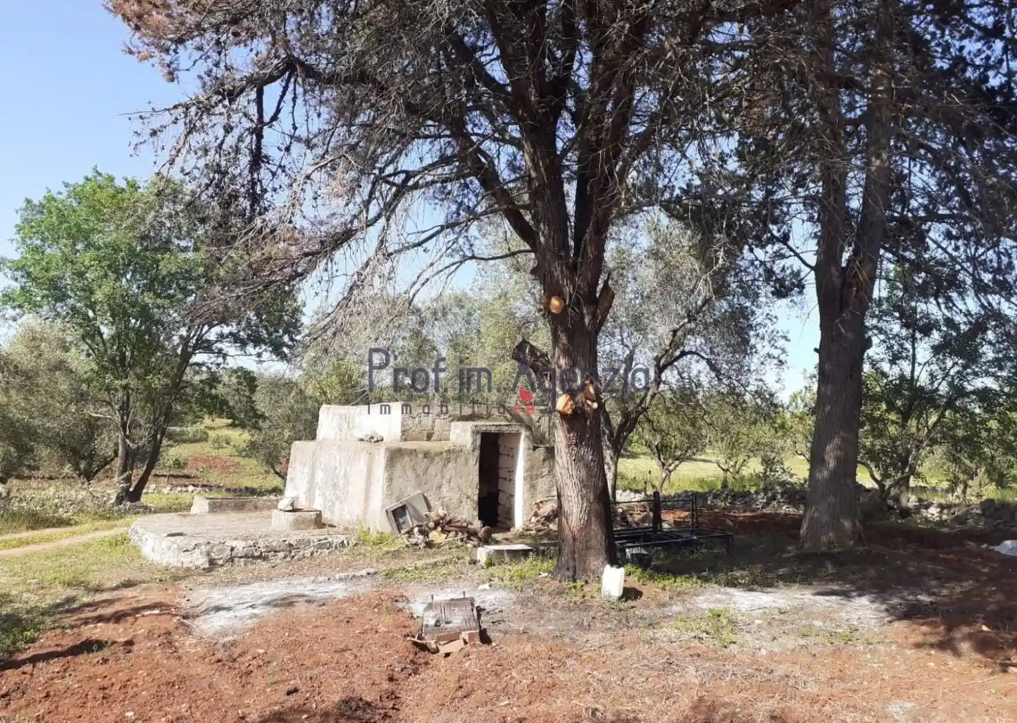Rustico - Casale in vendita a Ostuni