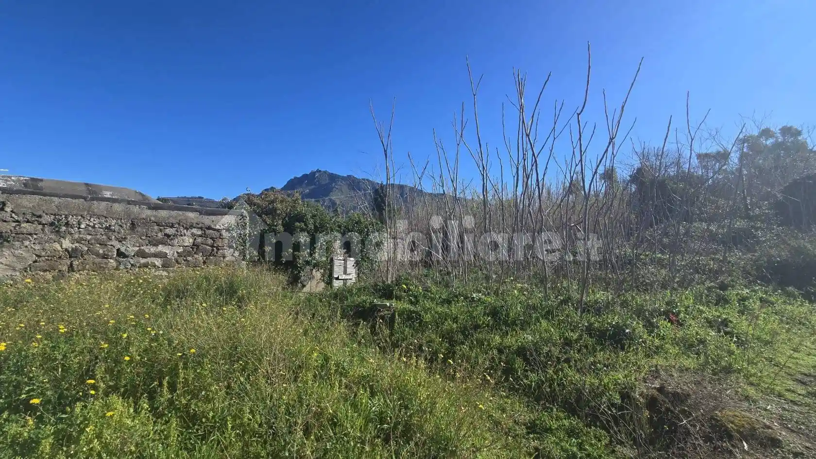 Rustico - Casale in vendita a Forio