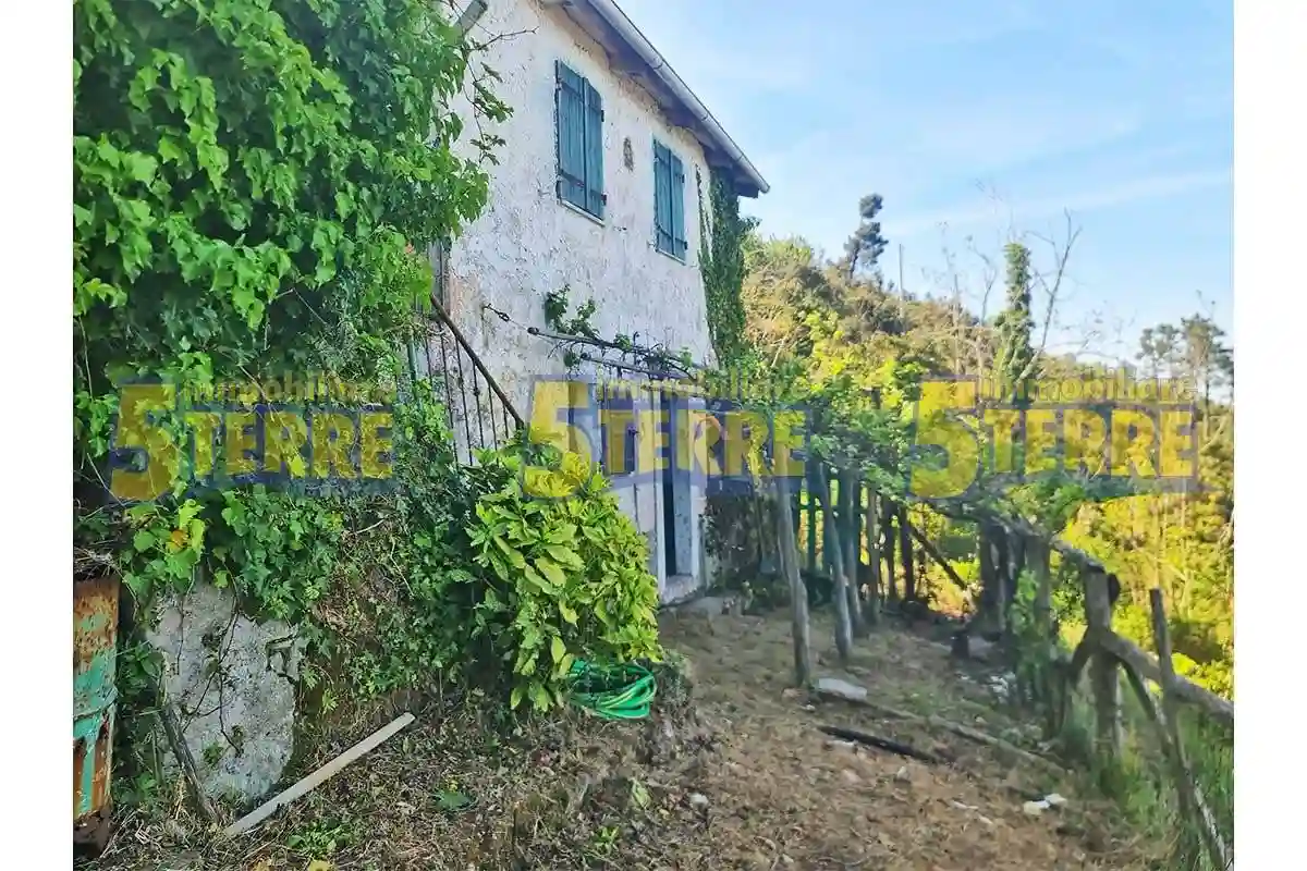 Rustico - Casale - foto 4